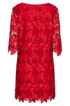 Ana Alcazar Kant Tuniek Jurk Wapas -JurkChic Verkoop ana alcazar 047522 2835 6