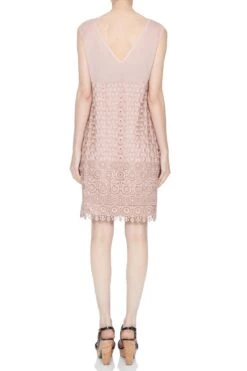 Ana Alcazar Black Label Kant Jurk Novarry -JurkChic Verkoop ana alcazar m 046434 2551 3